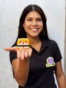 Combo Colégio Duplo + Brinde  (Grátis estojo + 40 etiquetas termocolantes + Quadro de rotina + Ebook de atividades)